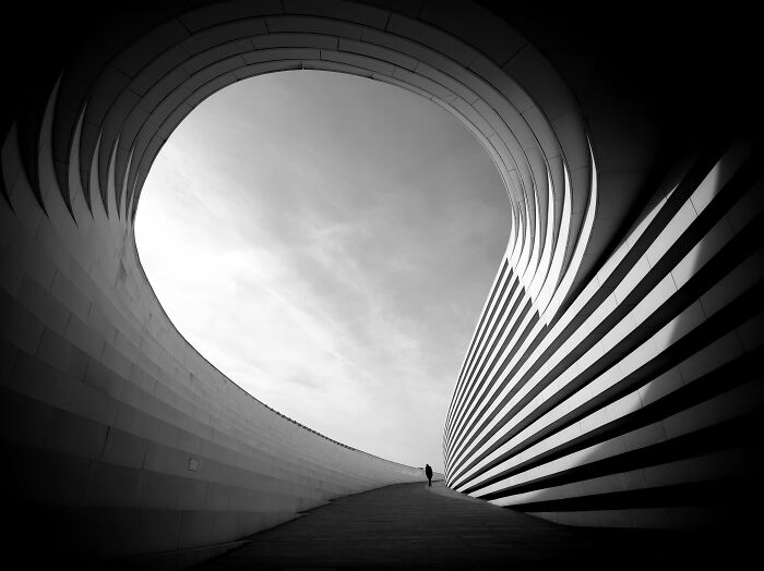 27 Stunning Shots Taken With A Phone Camera By These Winners Of MPA - 21