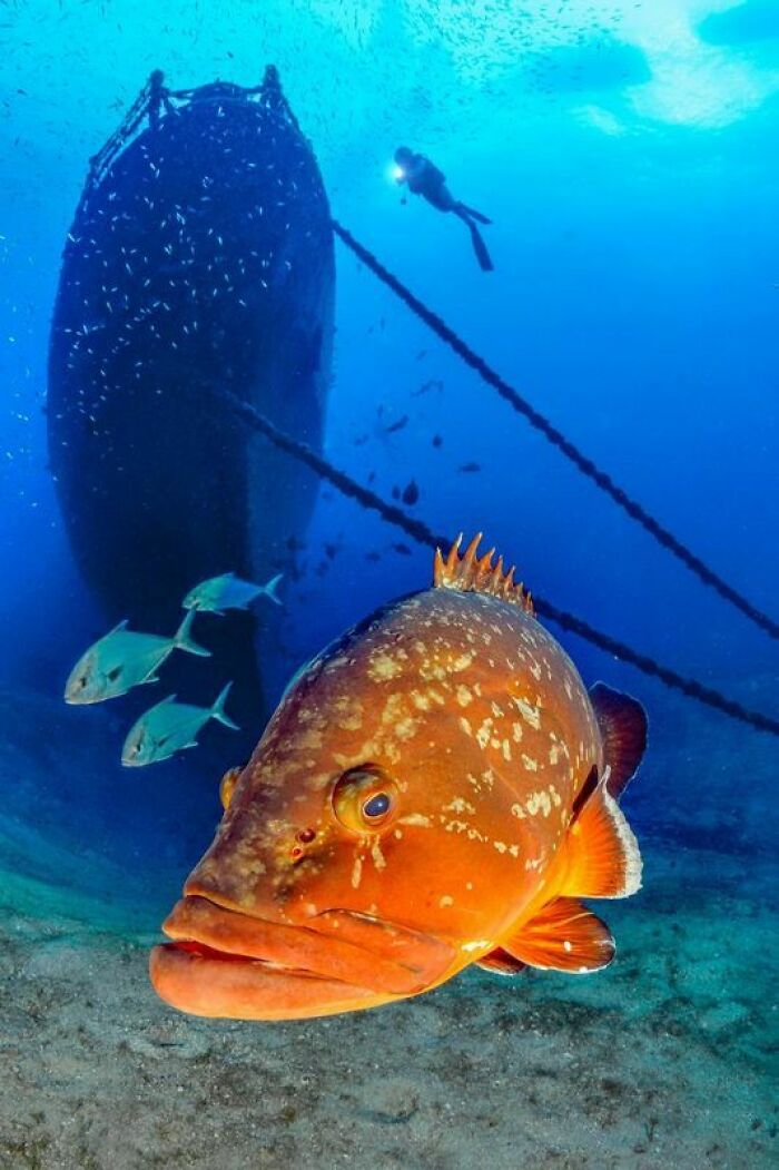 "Front Of The Wreck" By Ferenc Lorincz, Silver Winner In People And Nature Category