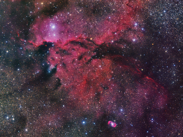 Scientists Have Finally Gotten Closer To The Answer About How Massive Stars Get Their Magnetic Fields