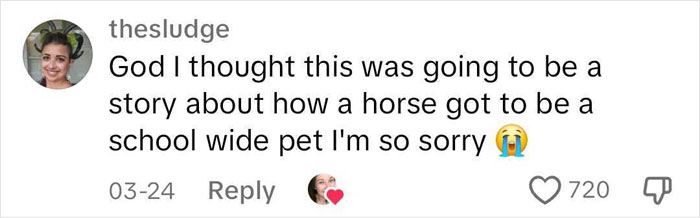 Mom Goes Along With Daughter Trying To Have Horse Class Pet, Girl Stops Due To Potential Shooters
