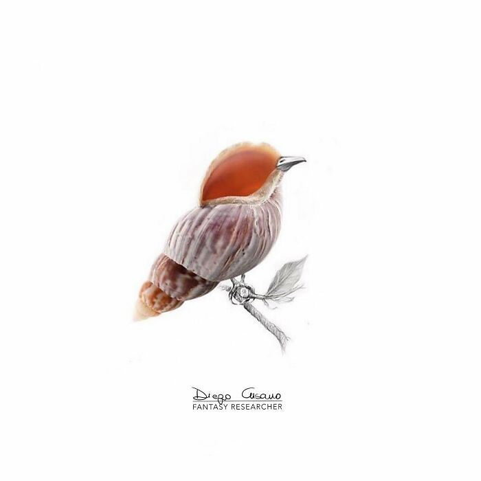 Whimsical Wonders: Diego Cusano's Playful Object Transformations (New Pics)