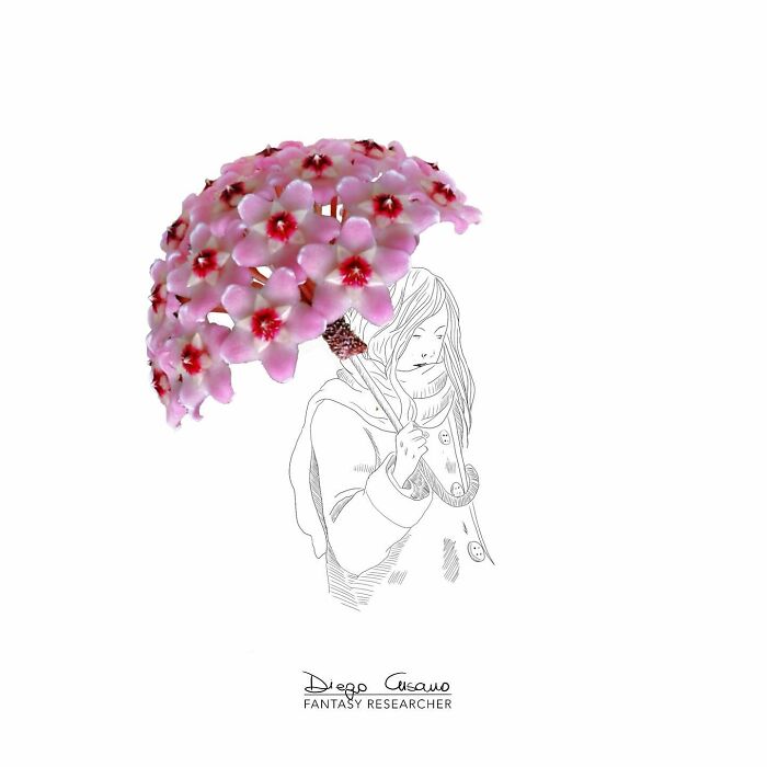 Whimsical Wonders: Diego Cusano's Playful Object Transformations (New Pics)