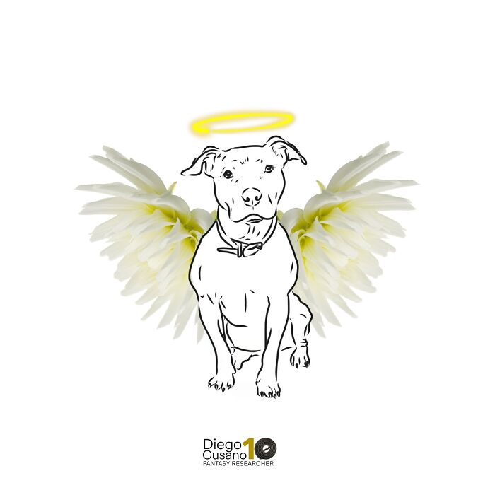 Whimsical Wonders: Diego Cusano's Playful Object Transformations (New Pics)