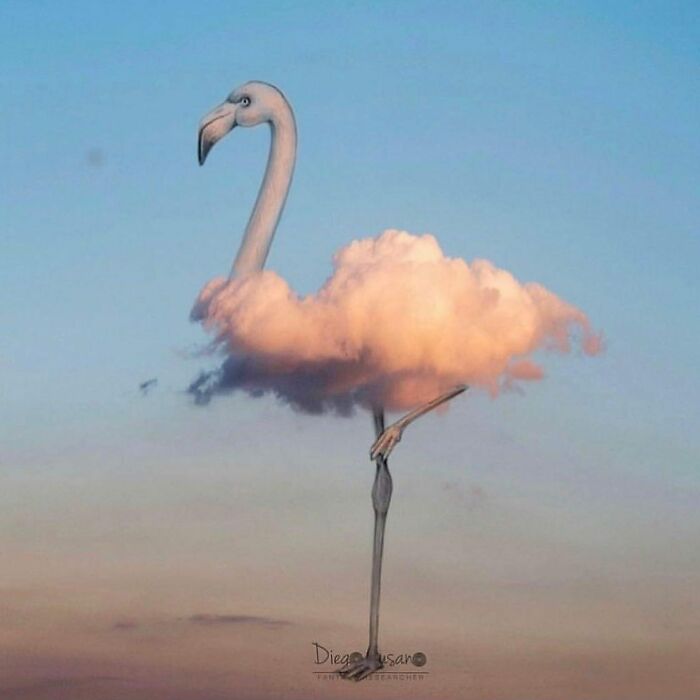 Whimsical Wonders: Diego Cusano's Playful Object Transformations (New Pics)