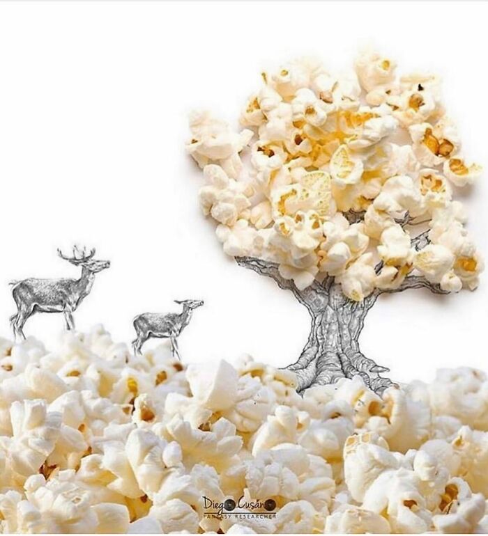 Whimsical Wonders: Diego Cusano's Playful Object Transformations (New Pics)