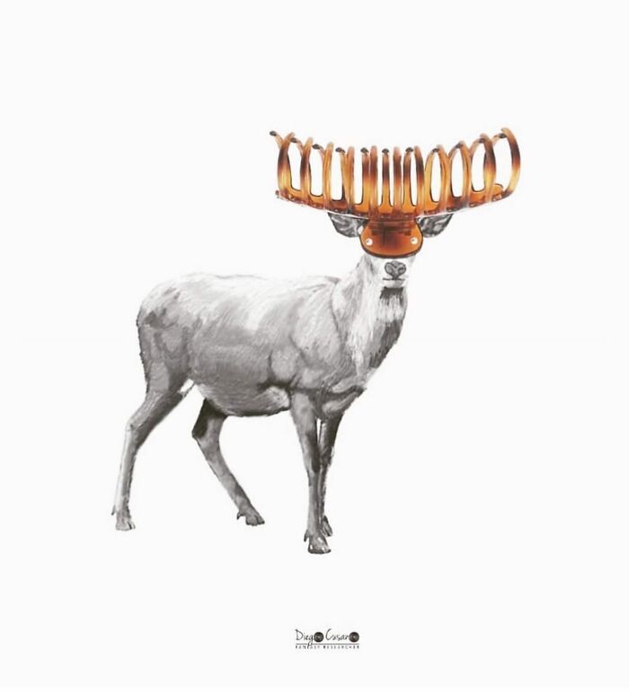 Whimsical Wonders: Diego Cusano's Playful Object Transformations (New Pics)