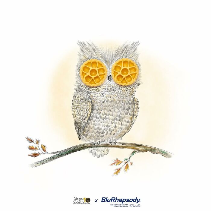 Whimsical Wonders: Diego Cusano's Playful Object Transformations (New Pics)