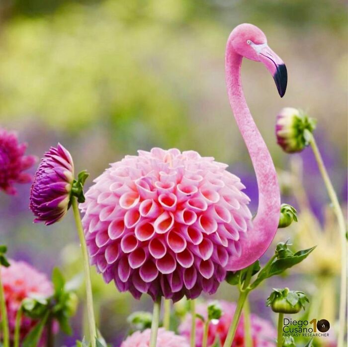 Whimsical Wonders: Diego Cusano's Playful Object Transformations (New Pics)