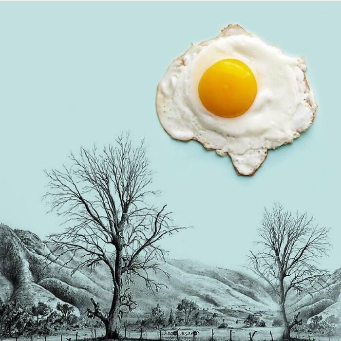 Whimsical Wonders: Diego Cusano's Playful Object Transformations (New Pics)