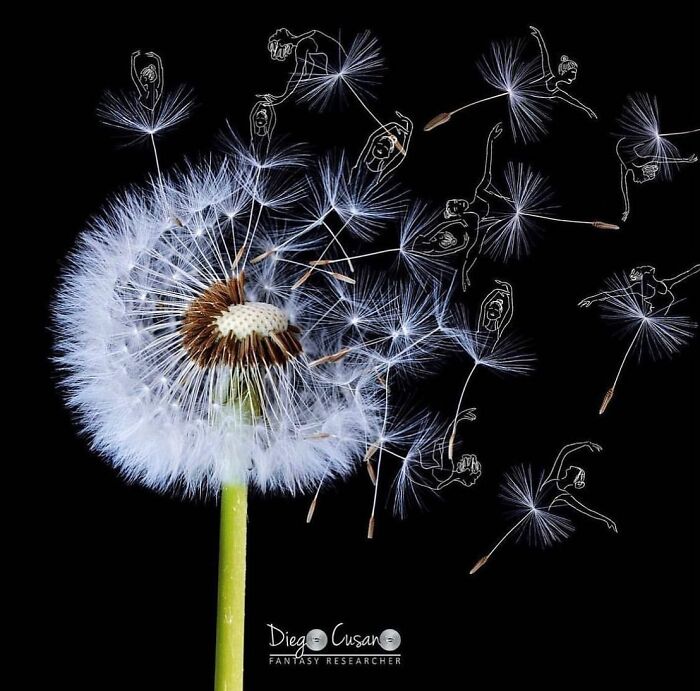 Whimsical Wonders: Diego Cusano's Playful Object Transformations (New Pics)