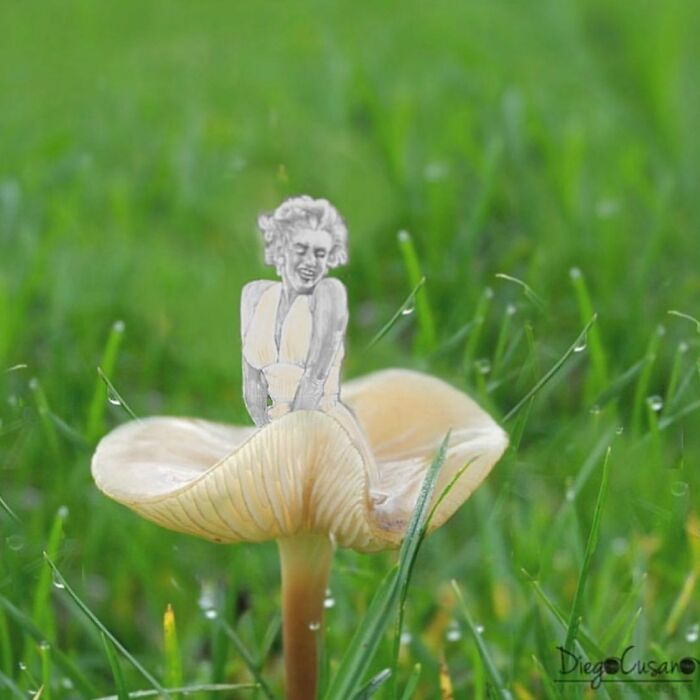 Whimsical Wonders: Diego Cusano's Playful Object Transformations (New Pics)