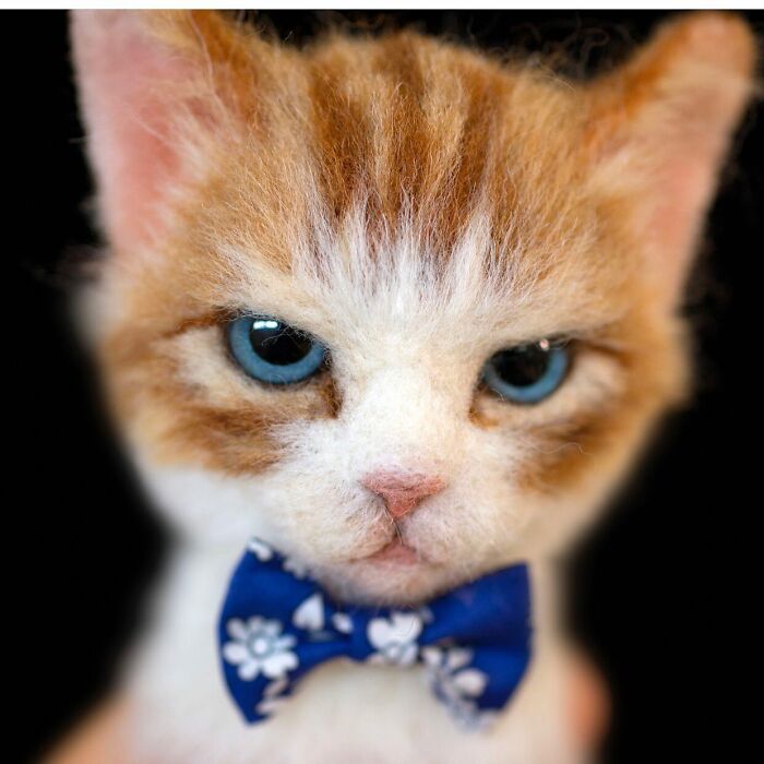 Hyper-Realistic 3D Cat Portraits From Felted Wool
