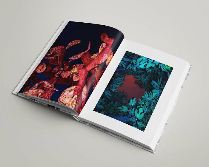 My Dream Of Publishing My Own Photography Book Is Almost A Reality! My Dream Of Publishing My Own Photography Book Is Almost A Reality!