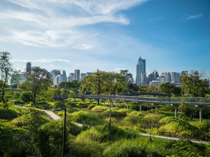 Revolutionary Sponge City Concept Can Solve Water Problems Instead Of Creating Them Revolutionary Sponge City Concept Can Solve Water Problems Instead Of Creating Them