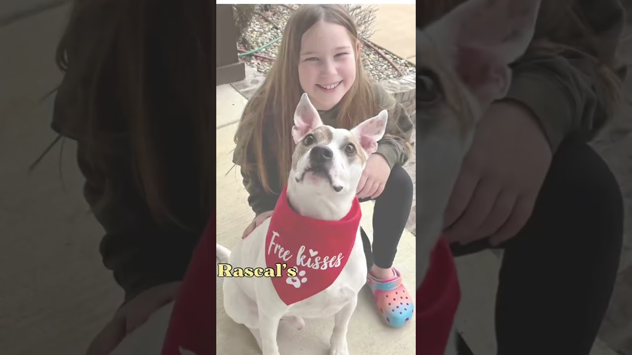 5yo Rascal Has Never Had A Loving Family…