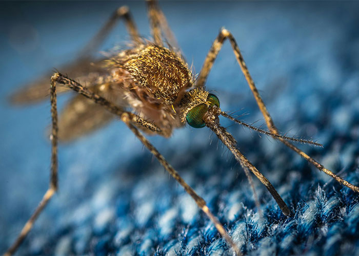 People Are Sharing Their Favorite Animal Facts That Never Cease To Amaze Them - 31