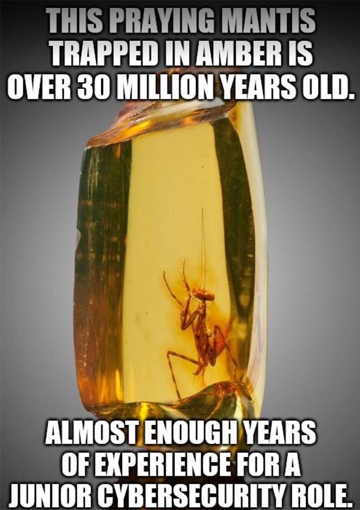 Job Hunting Again, And It Sucks. Please Have All Certifications, A Degree In At Least 3 Fields, And 20 Years For This Internship