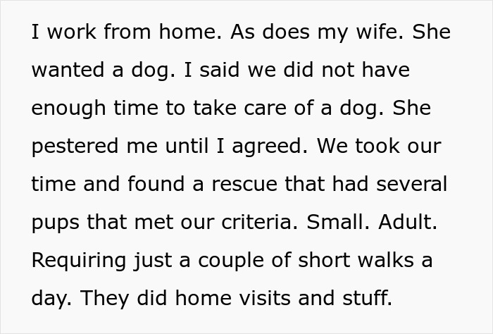 “AITA For Refusing To Take Any Responsibility For My Dog Until My Wife Was Forced To Rehome Him?” - 3