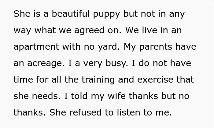 “AITA For Refusing To Take Any Responsibility For My Dog Until My Wife Was Forced To Rehome Him?” - 6