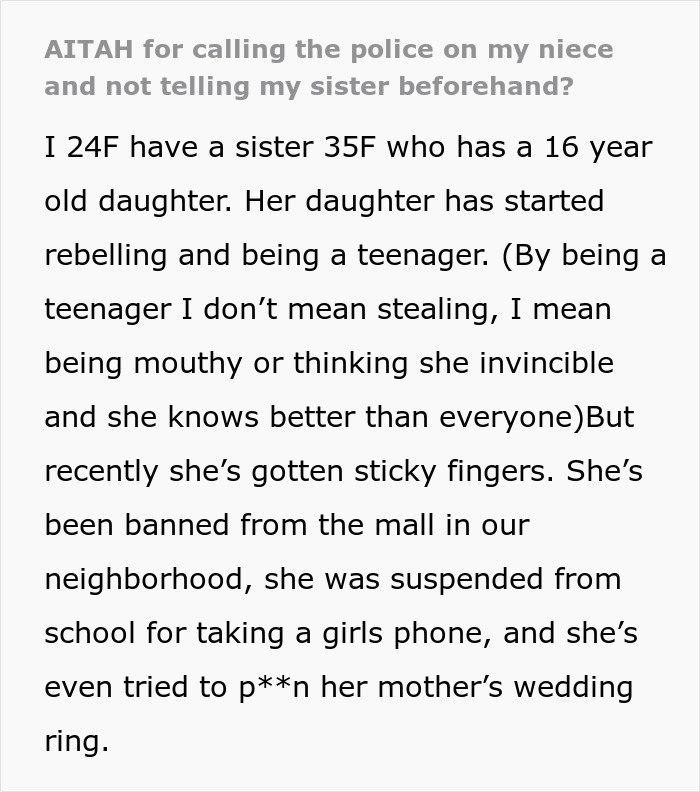 Niece Brazenly Burgles Aunt&rsquo;s Home, Her Mom Flips When Aunt Doesn&rsquo;t Warn About The Cops Coming 