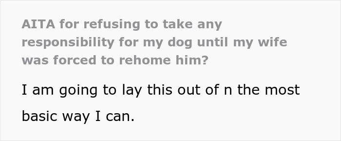 “AITA For Refusing To Take Any Responsibility For My Dog Until My Wife Was Forced To Rehome Him?” - 2
