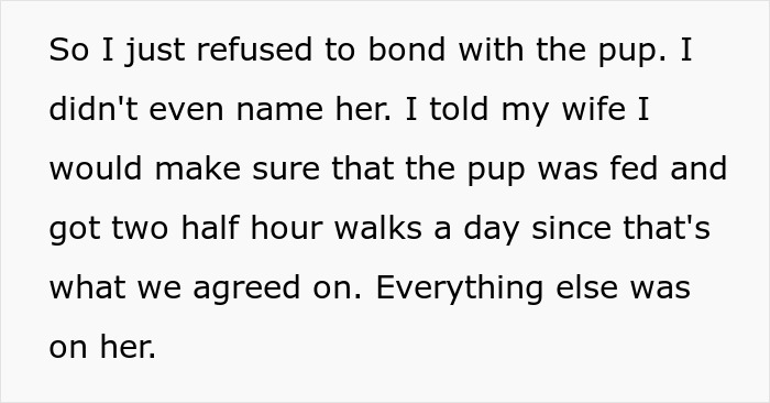 “AITA For Refusing To Take Any Responsibility For My Dog Until My Wife Was Forced To Rehome Him?” - 7