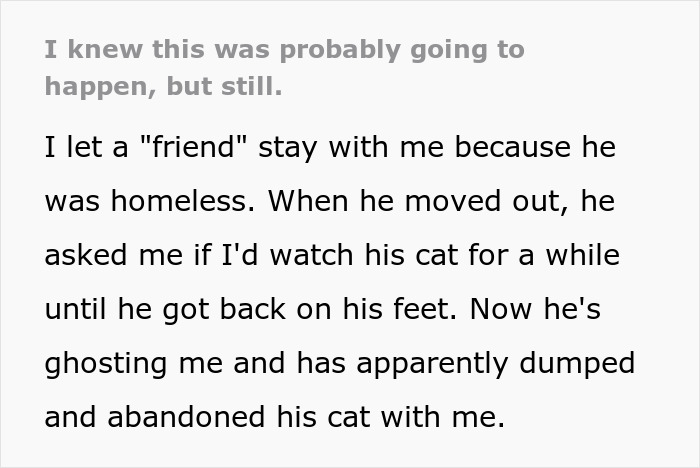Guy Asks A Friend To Watch His Sick Cat For A While, Starts Ignoring Texts Asking Him To Take It Back