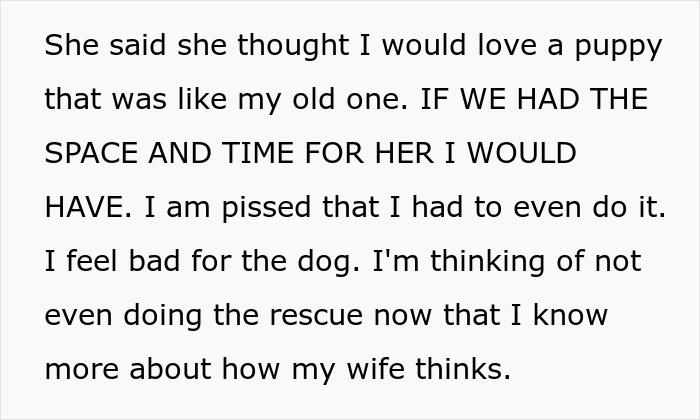 “AITA For Refusing To Take Any Responsibility For My Dog Until My Wife Was Forced To Rehome Him?” - 10