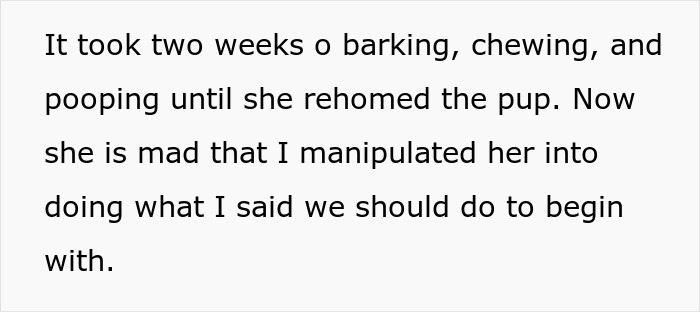 “AITA For Refusing To Take Any Responsibility For My Dog Until My Wife Was Forced To Rehome Him?” - 9