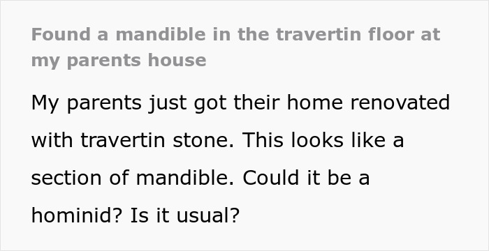 People Wanted A Travertine Floor, Get Surprised By The Human Jawbone That Came With It