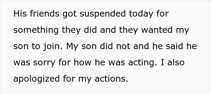 Text excerpt showing a mom explaining her son avoided trouble and apologized after friends got suspended.