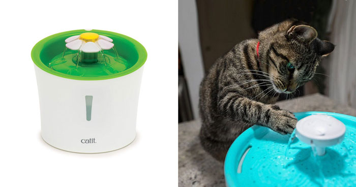 Best Cat Water Fountain In 2024, According To Vet