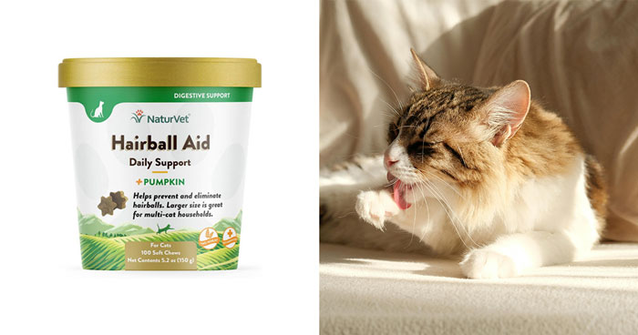 The Best Hairball Remedy For Cats In 2024