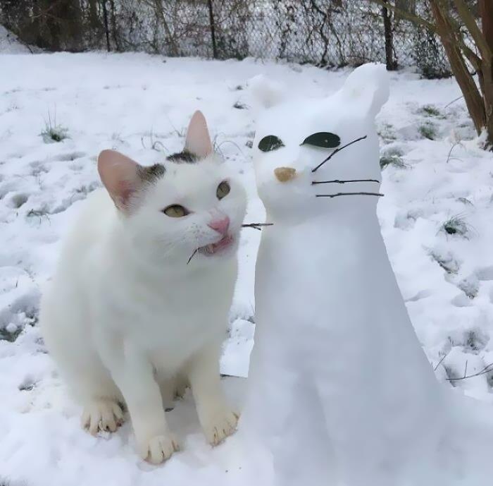 White cat next to a snow cat sculpture, humorously captured as a cat losing its single brain cell in the snow.