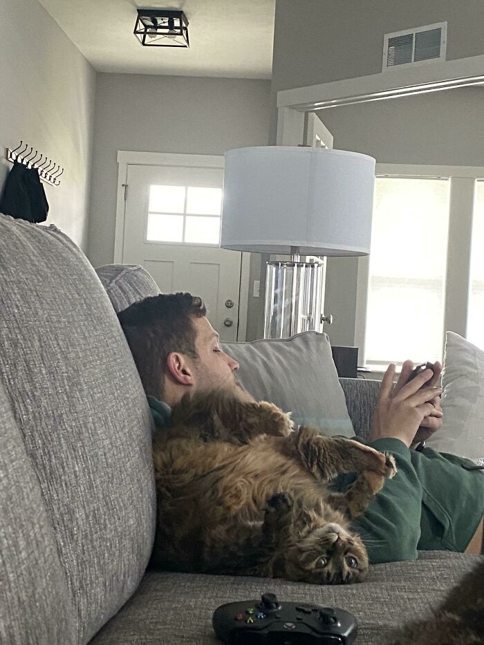 Man relaxing on couch with cat lying upside down, perfectly captured moment showing cats losing their single brain cell.