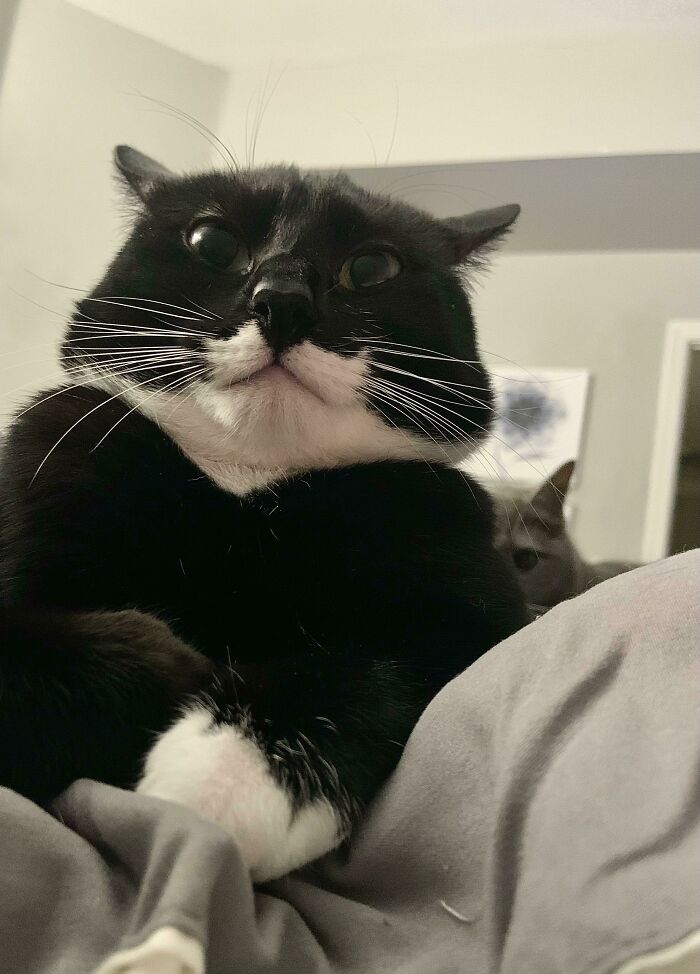 “She’s Behind Me, Isn’t She?”