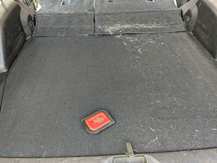 Trunk area lined with black fabric coated in pet hair, featuring a small red logo. Popular Panda product.