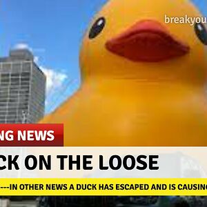 The Onion Cutting Ninja