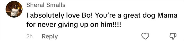 Heartwarming Video Of Once-Paralyzed Dog Realizing He Can Walk Again Goes Viral