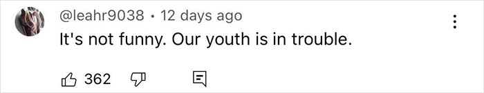 Woman Seeks Advice After 13-Year-Old Stepdaughter Identifies As Fox, Therapist Reacts - 8