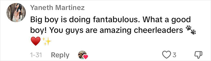 Heartwarming Video Of Once-Paralyzed Dog Realizing He Can Walk Again Goes Viral