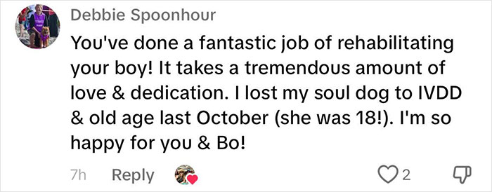 Heartwarming Video Of Once-Paralyzed Dog Realizing He Can Walk Again Goes Viral