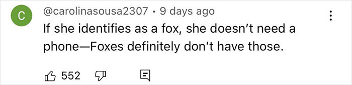 Woman Seeks Advice After 13-Year-Old Stepdaughter Identifies As Fox, Therapist Reacts - 7
