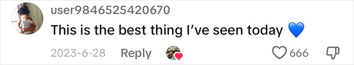 Heartwarming Video Of Once-Paralyzed Dog Realizing He Can Walk Again Goes Viral