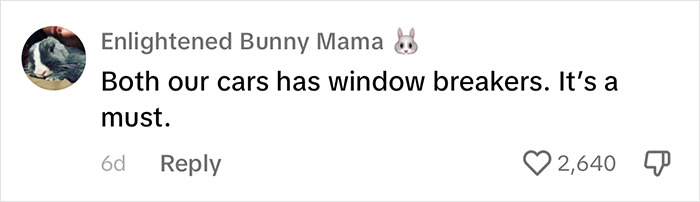 ER Doctor Lists 4 Things To Remember If Your Car Falls Into Water, People Online Are Thanking Her ER Doctor Lists 4 Things To Remember If Your Car Falls Into Water, People Online Are Thanking Her