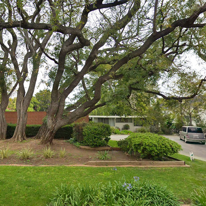 “History Destroyed”: Chris Pratt And Katherine Schwarzenegger Spark Outrage With Estate Project - 3