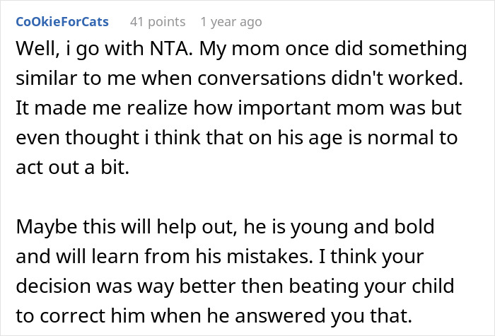 Screenshot of a user comment discussing a teen becoming an exemplary son after his mom&rsquo;s unique punishment approach.