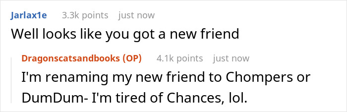 Guy Asks A Friend To Watch His Sick Cat For A While, Starts Ignoring Texts Asking Him To Take It Back