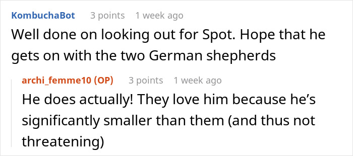 Woman Is Horrified Brother Wants To Take Dog On His Fishing Trip, Runs Away To Fiancé With It Woman Is Horrified Brother Wants To Take Dog On His Fishing Trip, Runs Away To Fiancé With It