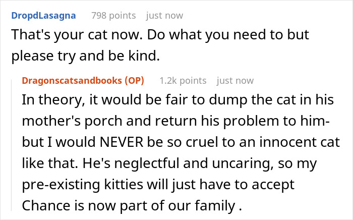 Guy Asks A Friend To Watch His Sick Cat For A While, Starts Ignoring Texts Asking Him To Take It Back